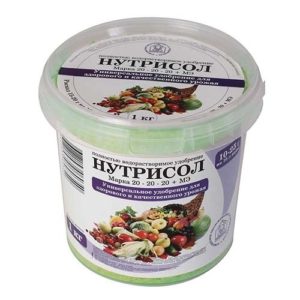 Comment et comment nourrir les raisins de Corinthe après la récolte en juillet