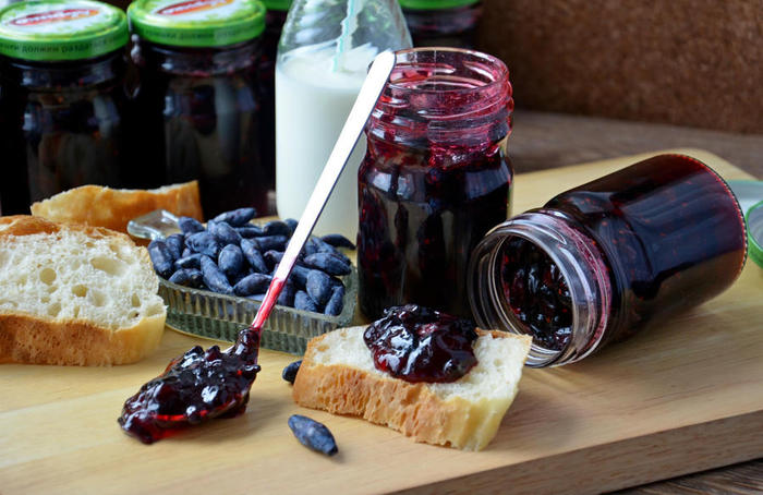 Caractéristiques de l'entretien du chèvrefeuille après la récolte en juillet