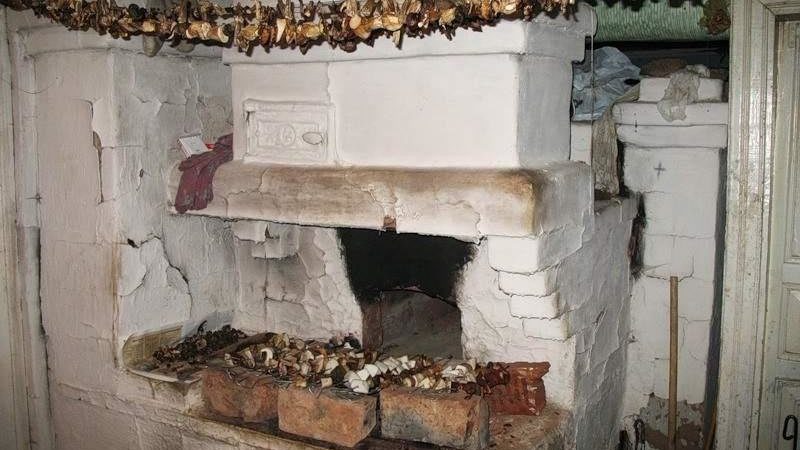 Comment sécher le chèvrefeuille pour l'hiver à la maison