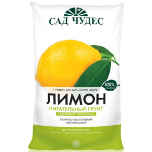 Terrain pour la culture du citron à la maison