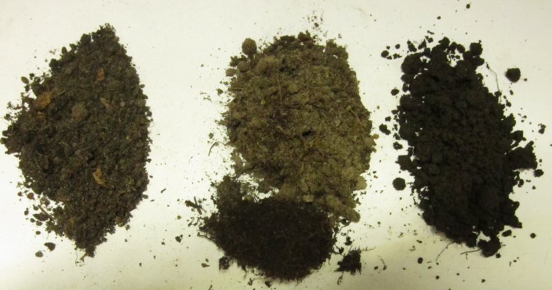 Terrain pour la culture du citron à la maison